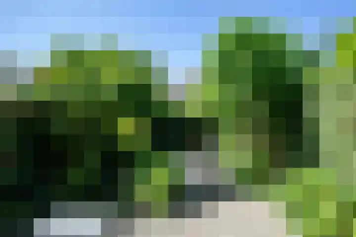 De Paarl 30 Ouderkerk aan de Amstel thumbnail 10