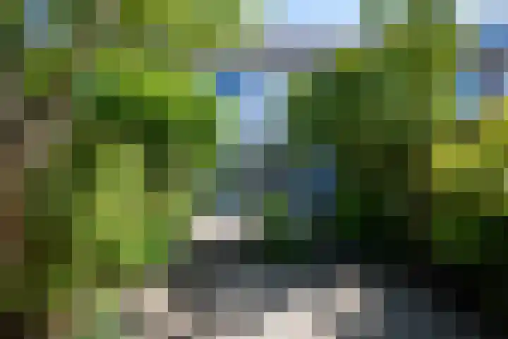 De Paarl 30 Ouderkerk aan de Amstel thumbnail 11