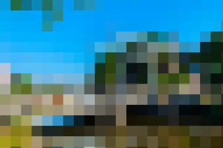 De Paarl 30 Ouderkerk aan de Amstel thumbnail 33