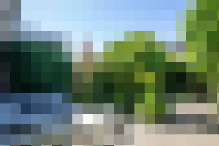 De Paarl 30 Ouderkerk aan de Amstel thumbnail 9