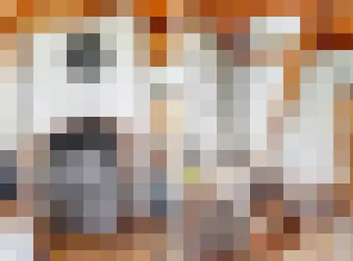 De Paay 13 Rhenoy thumbnail 11