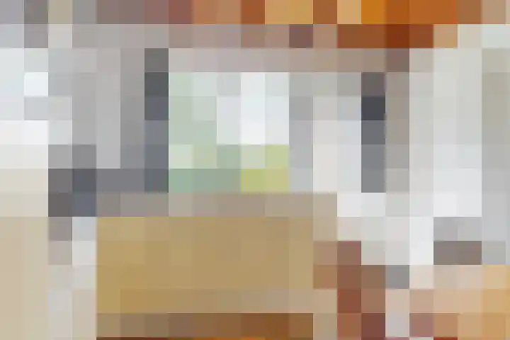 De Paay 13 Rhenoy thumbnail 13