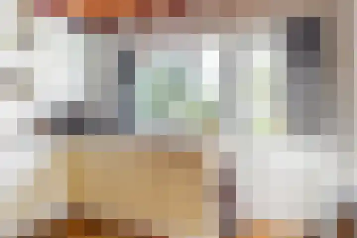 De Paay 13 Rhenoy thumbnail 15