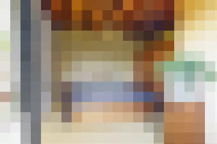 De Paay 13 Rhenoy thumbnail 17