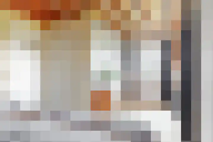 De Paay 13 Rhenoy thumbnail 18