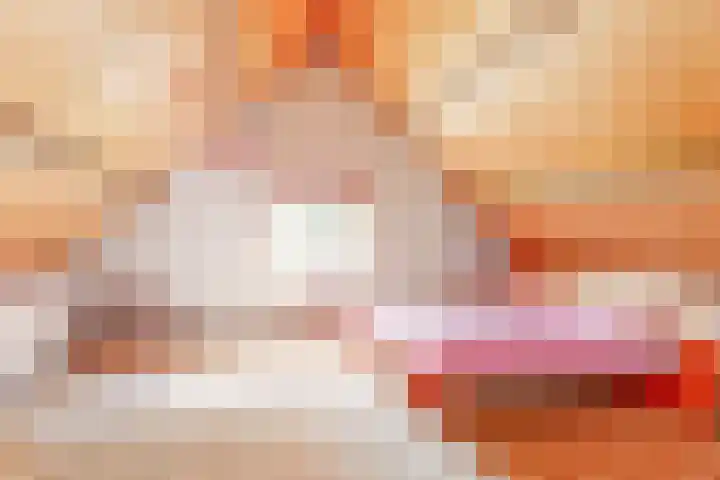 De Paay 13 Rhenoy thumbnail 19