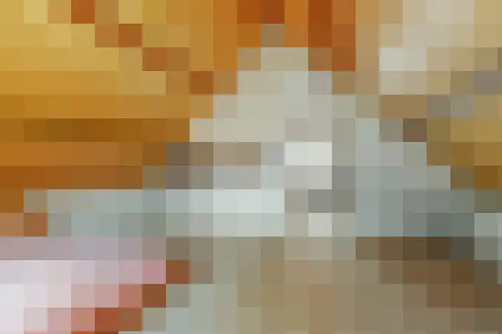 De Paay 13 Rhenoy thumbnail 20