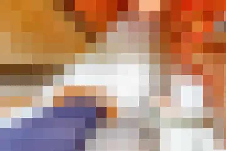 De Paay 13 Rhenoy thumbnail 21