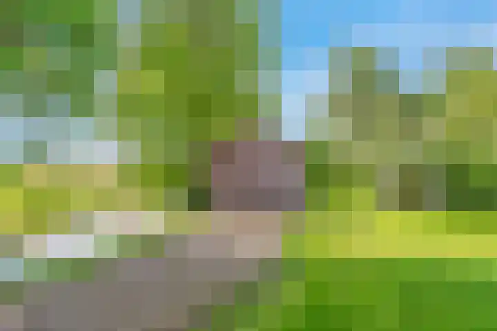 De Paay 13 Rhenoy thumbnail 25