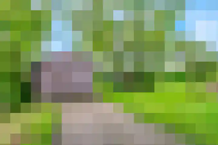 De Paay 13 Rhenoy thumbnail 26