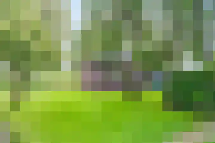 De Paay 13 Rhenoy thumbnail 27