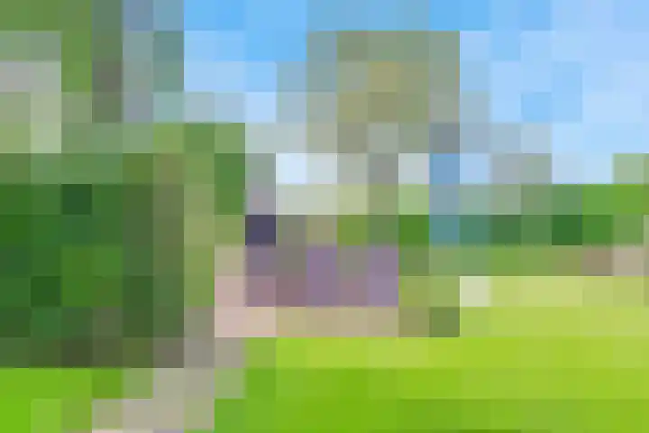 De Paay 13 Rhenoy thumbnail 28