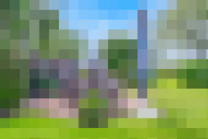 De Paay 13 Rhenoy thumbnail 29