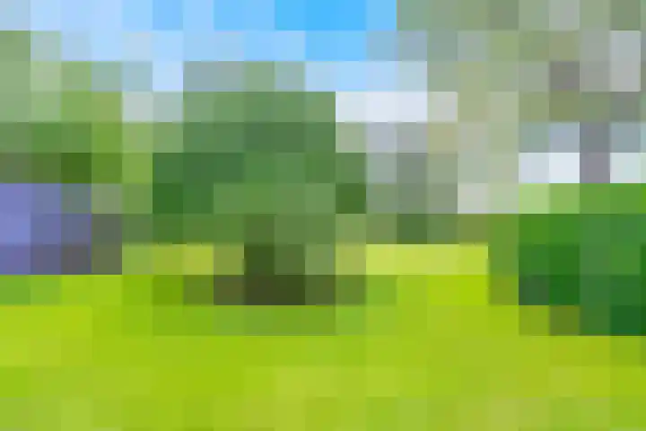 De Paay 13 Rhenoy thumbnail 30