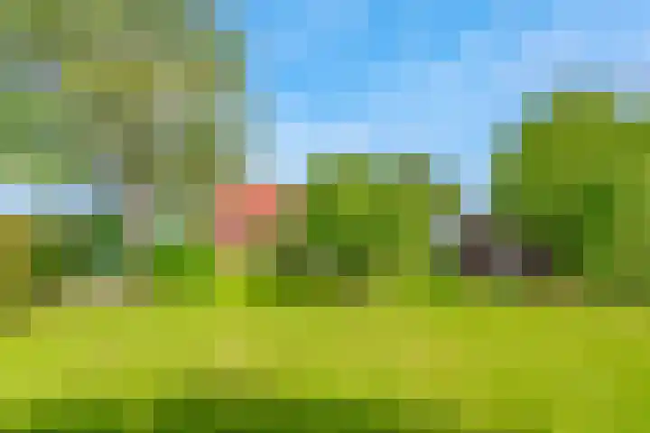 De Paay 13 Rhenoy thumbnail 33