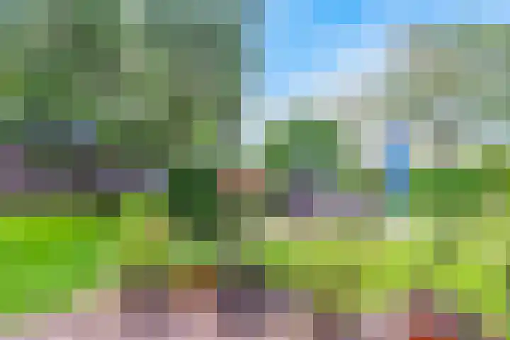 De Paay 13 Rhenoy thumbnail 34