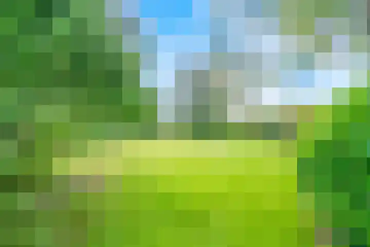 De Paay 13 Rhenoy thumbnail 35