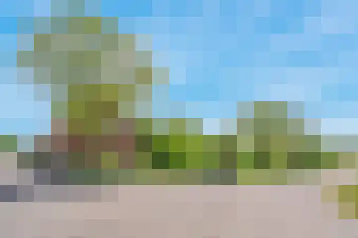 De Paay 13 Rhenoy thumbnail 36