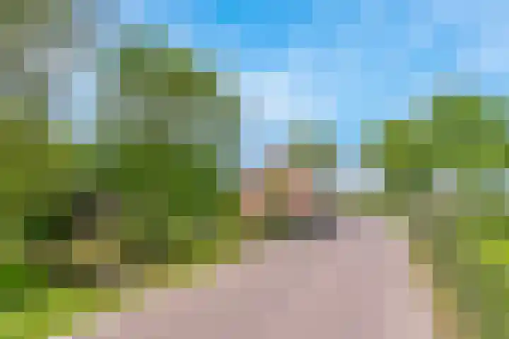 De Paay 13 Rhenoy thumbnail 37