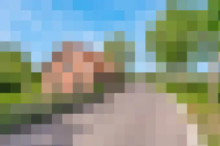De Paay 13 Rhenoy thumbnail 38