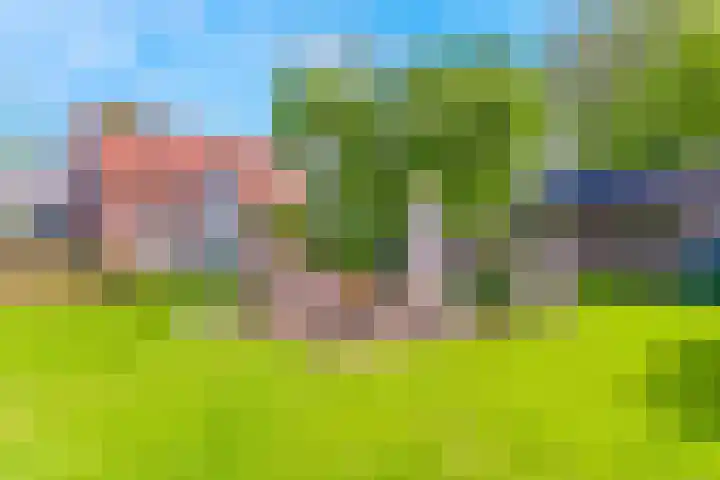 De Paay 13 Rhenoy thumbnail 4