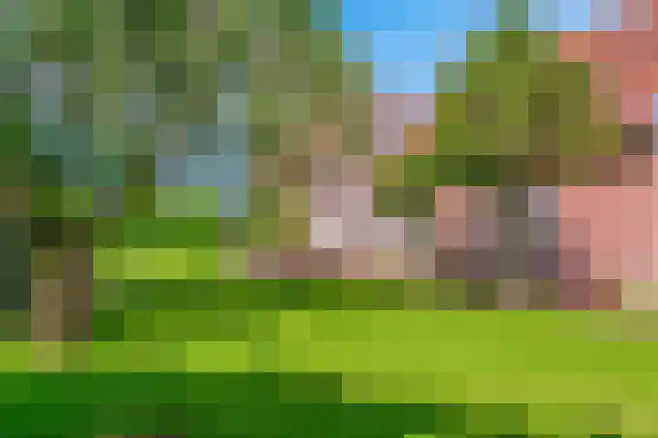 De Paay 13 Rhenoy thumbnail 5