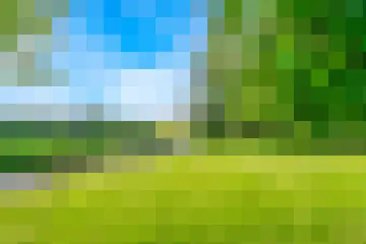 De Paay 13 Rhenoy thumbnail 6
