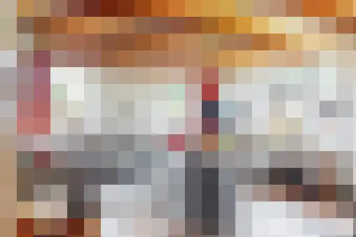 De Paay 13 Rhenoy thumbnail 9