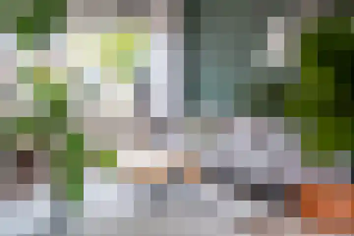 de Paden 11 Kollumersweach thumbnail 12