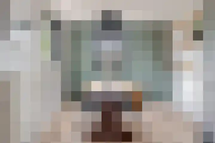 de Paden 11 Kollumersweach thumbnail 16