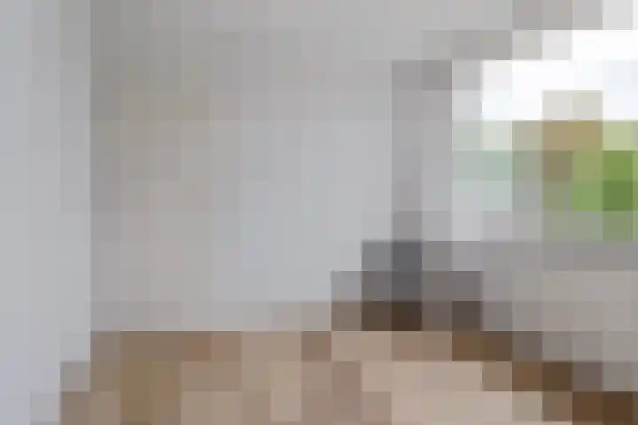 de Paden 11 Kollumersweach thumbnail 24