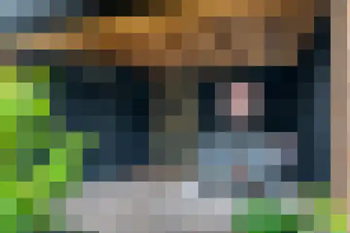 de Paden 11 Kollumersweach thumbnail 33