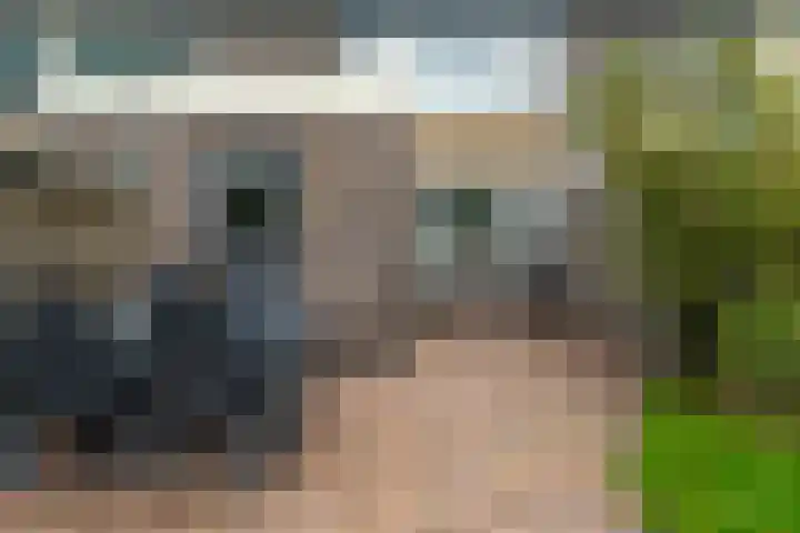 de Paden 11 Kollumersweach thumbnail 34