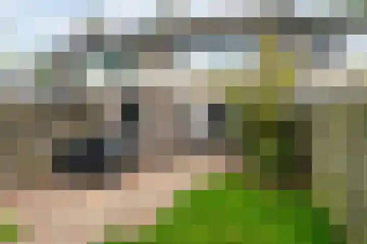 de Paden 11 Kollumersweach thumbnail 35