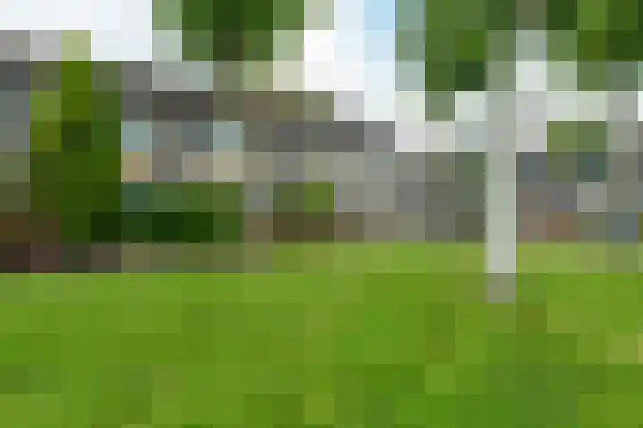 de Paden 11 Kollumersweach thumbnail 37