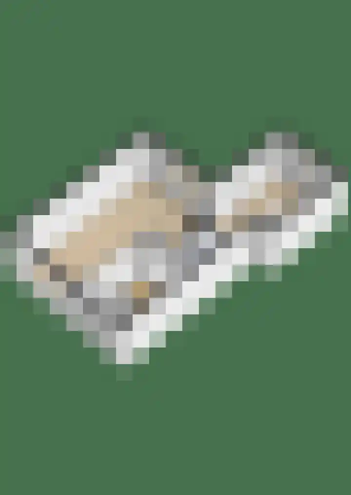 de Paden 11 Kollumersweach thumbnail 43