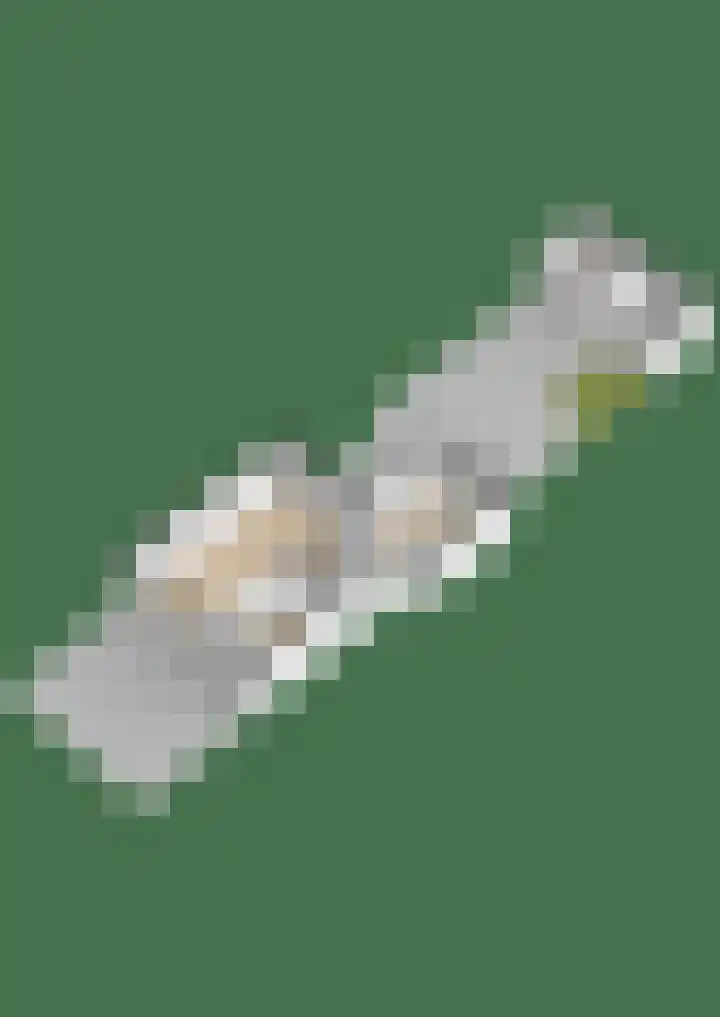 de Paden 11 Kollumersweach thumbnail 47