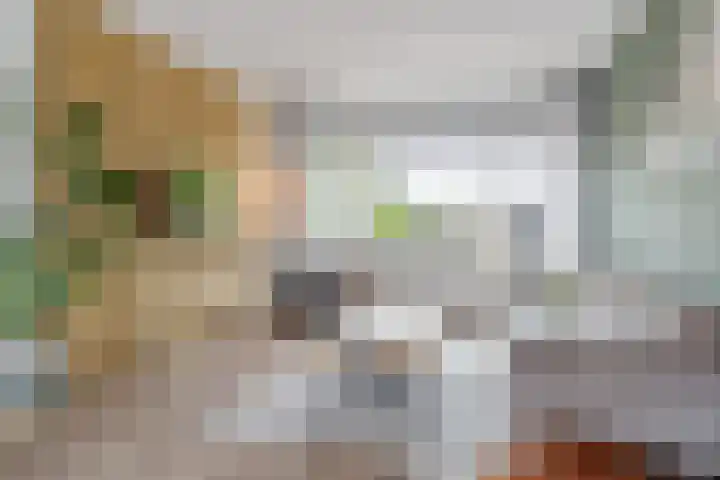 de Paden 11 Kollumersweach thumbnail 8