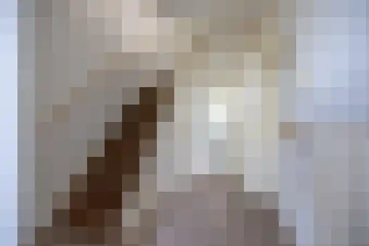 de Paden 19 Kollumersweach thumbnail 15