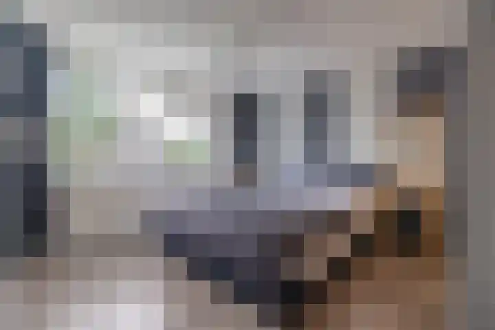 de Paden 19 Kollumersweach thumbnail 19