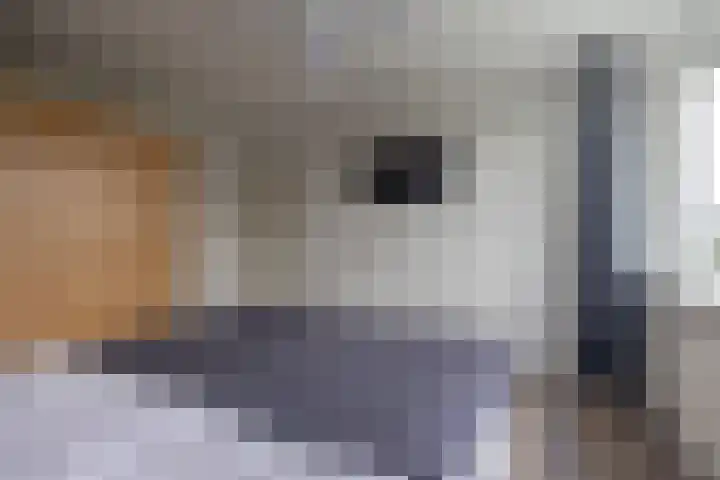 de Paden 19 Kollumersweach thumbnail 21