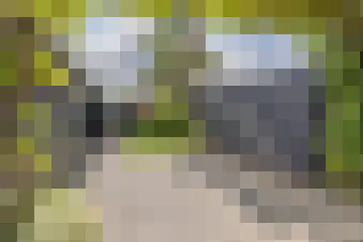 de Paden 19 Kollumersweach thumbnail 31