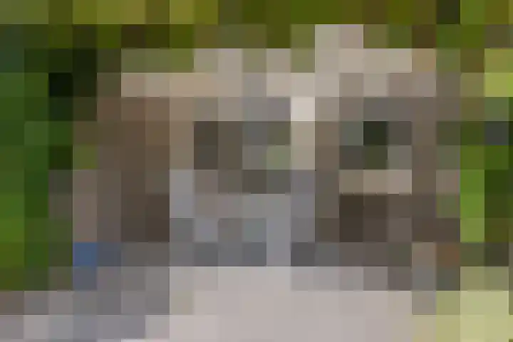 de Paden 19 Kollumersweach thumbnail 32