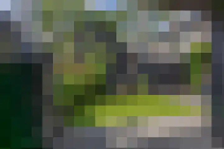 de Paden 19 Kollumersweach thumbnail 34