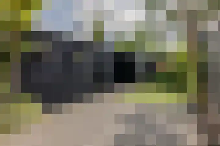 de Paden 19 Kollumersweach thumbnail 35