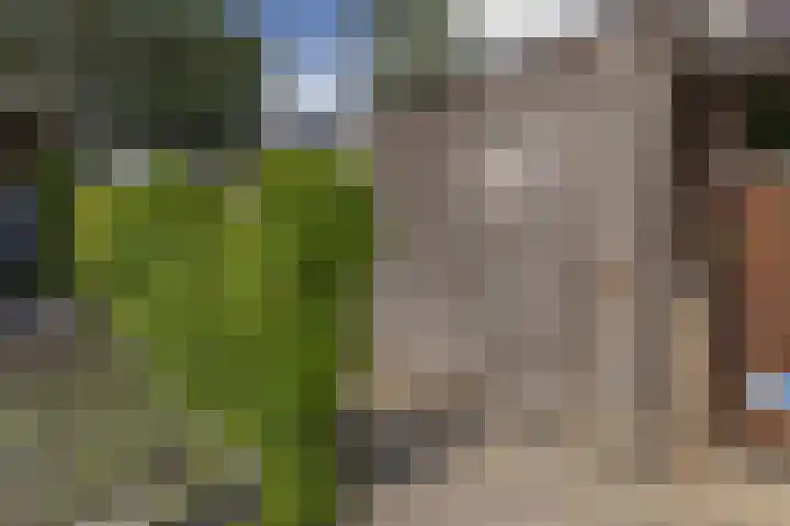 de Paden 19 Kollumersweach thumbnail 36
