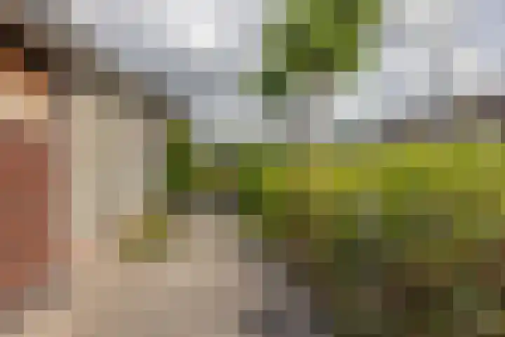 de Paden 19 Kollumersweach thumbnail 37
