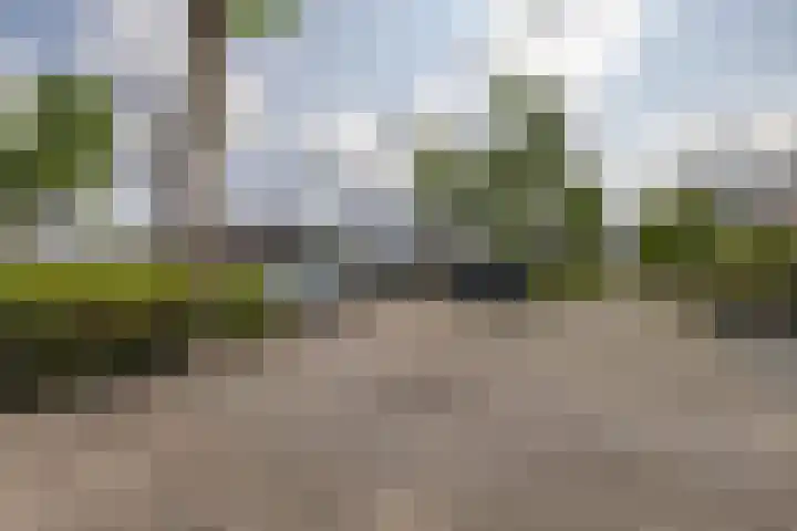 de Paden 19 Kollumersweach thumbnail 38