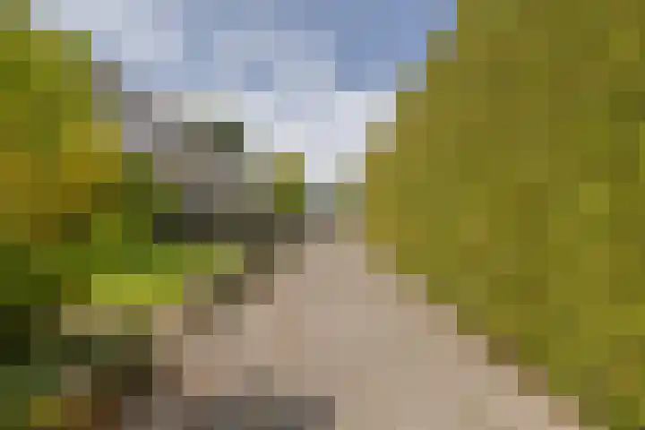 de Paden 19 Kollumersweach thumbnail 39