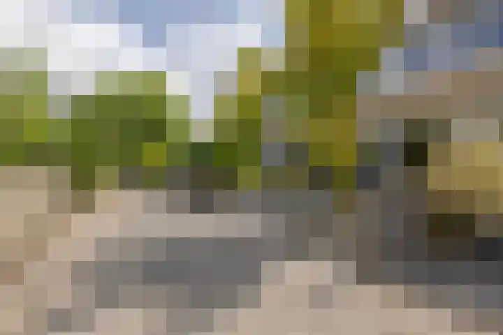de Paden 19 Kollumersweach thumbnail 40